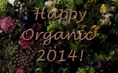 Wishing you a very happy new year