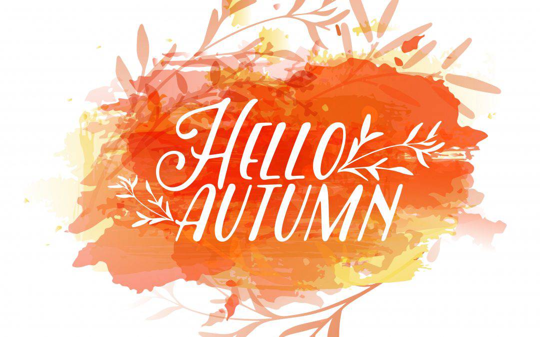 Hello autumn. The pHd Autumn Newsletter is here