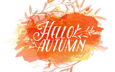 Hello autumn. The pHd Autumn Newsletter is here