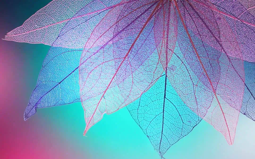 Late Winter Newsletter